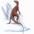 † Scutellosaurus lawleri<p>(vor etwa 201,3 bis 174,1 Millionen Jahren)</p>